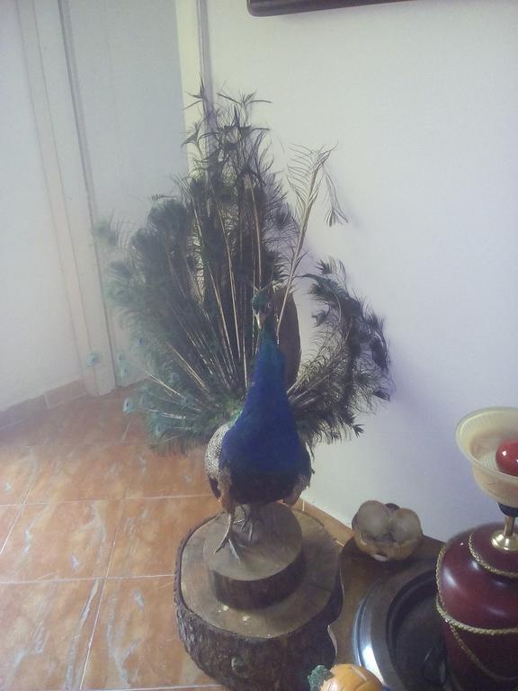 Karafil Guesthouse Αργυρόκαστρο Εξωτερικό φωτογραφία