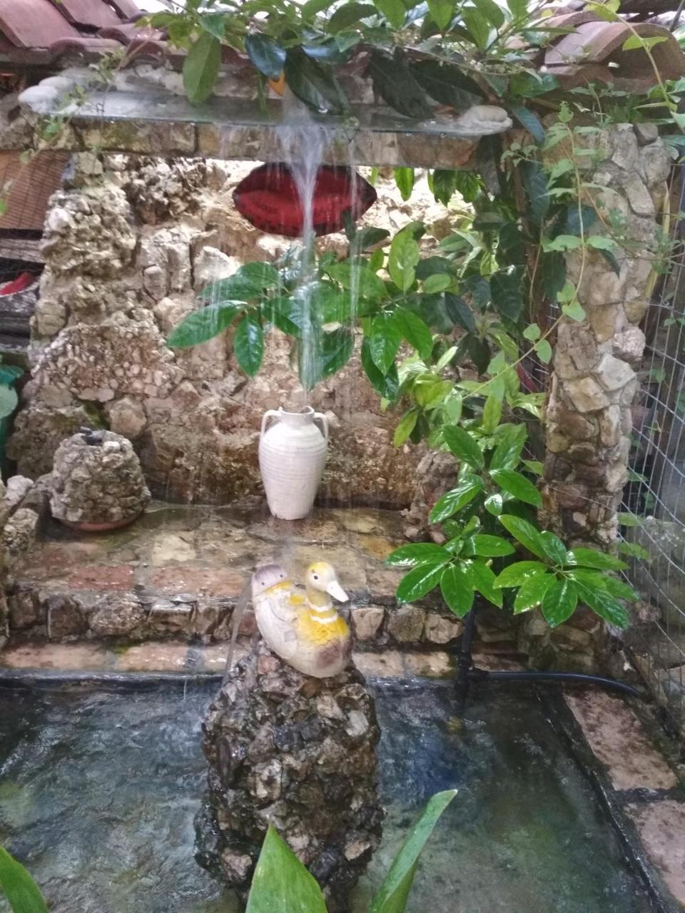Karafil Guesthouse Αργυρόκαστρο Εξωτερικό φωτογραφία