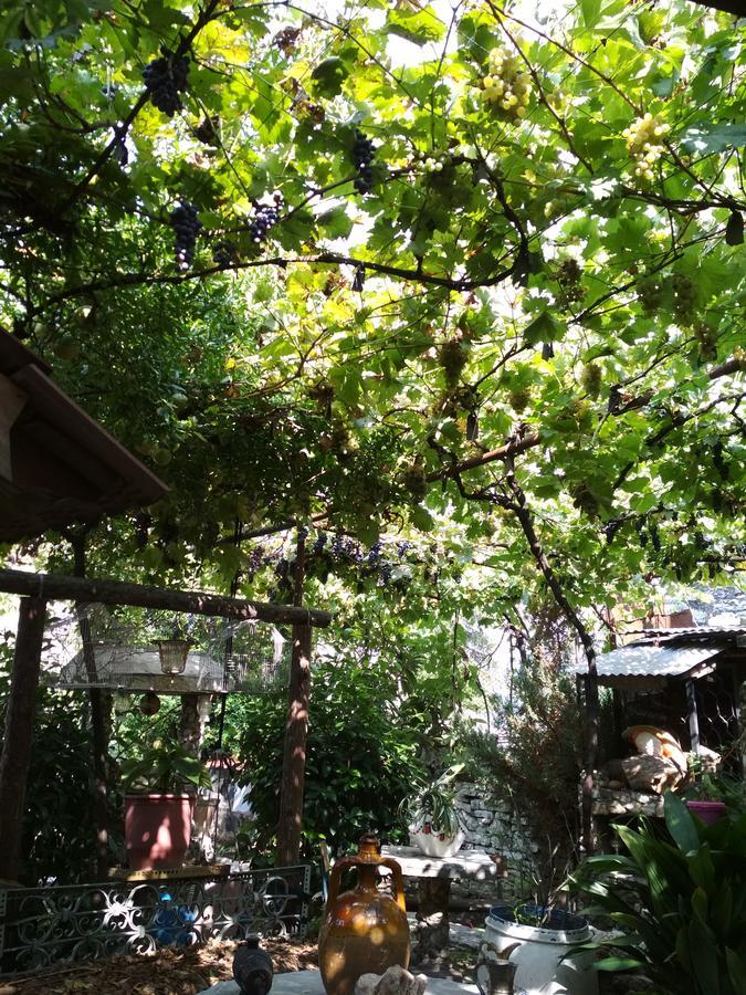 Karafil Guesthouse Αργυρόκαστρο Εξωτερικό φωτογραφία